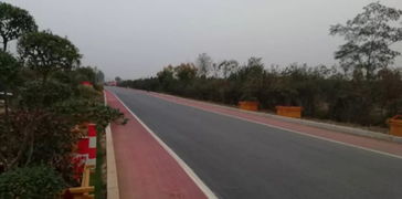 以道路建設(shè)為引擎，驅(qū)動(dòng)基礎(chǔ)設(shè)施、營(yíng)商環(huán)境與環(huán)保協(xié)同提升的工程管理實(shí)踐